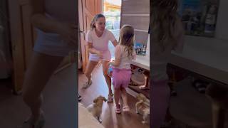 Olha elas!😂#shortsyoutube #shorts