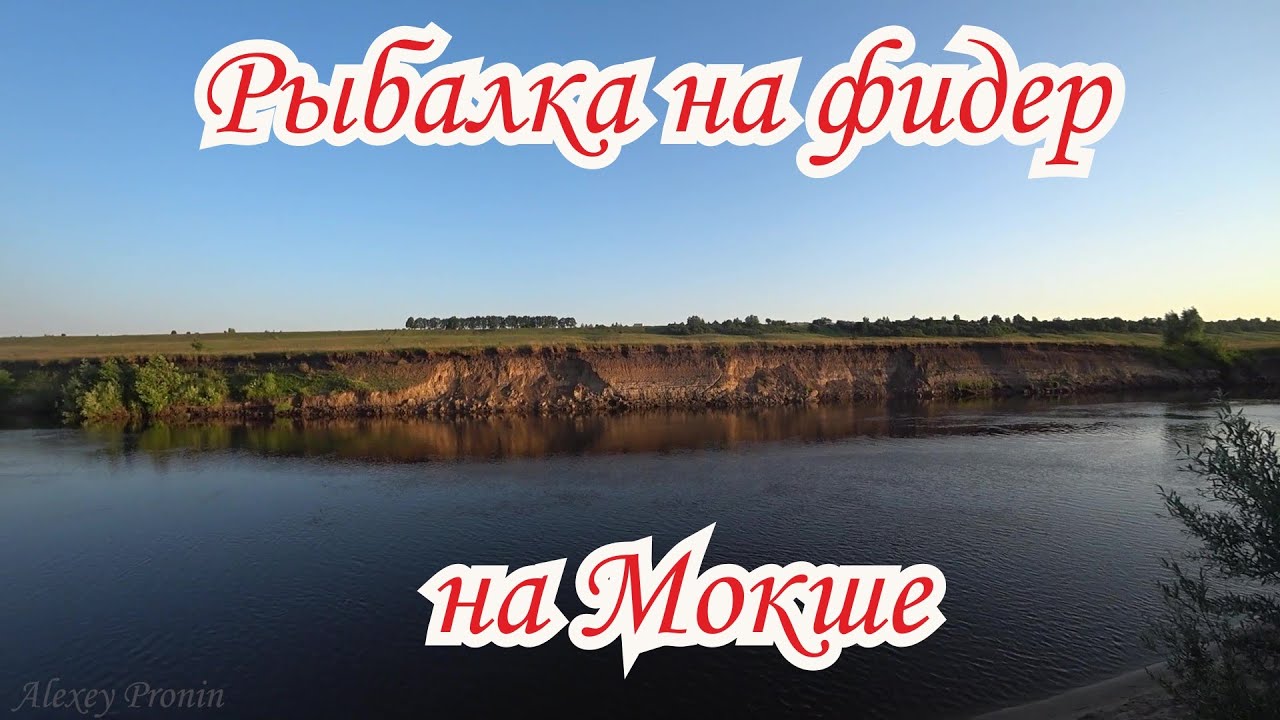 Рыбалка на реке Мокша. Фидер на Мокше - YouTube