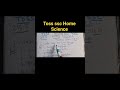 TOSS 2026 Home Science 🔥Previous Year Questions you CAN’T ignore! 📚✨#class10 #education #toss2025
