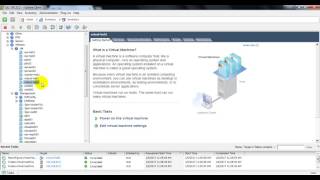 Famous VMware ESXi - CPU Hot Plug Net Worth