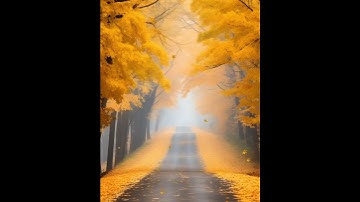 Falling leaves #autumn, #trees, #nature, #relaxation, #animation