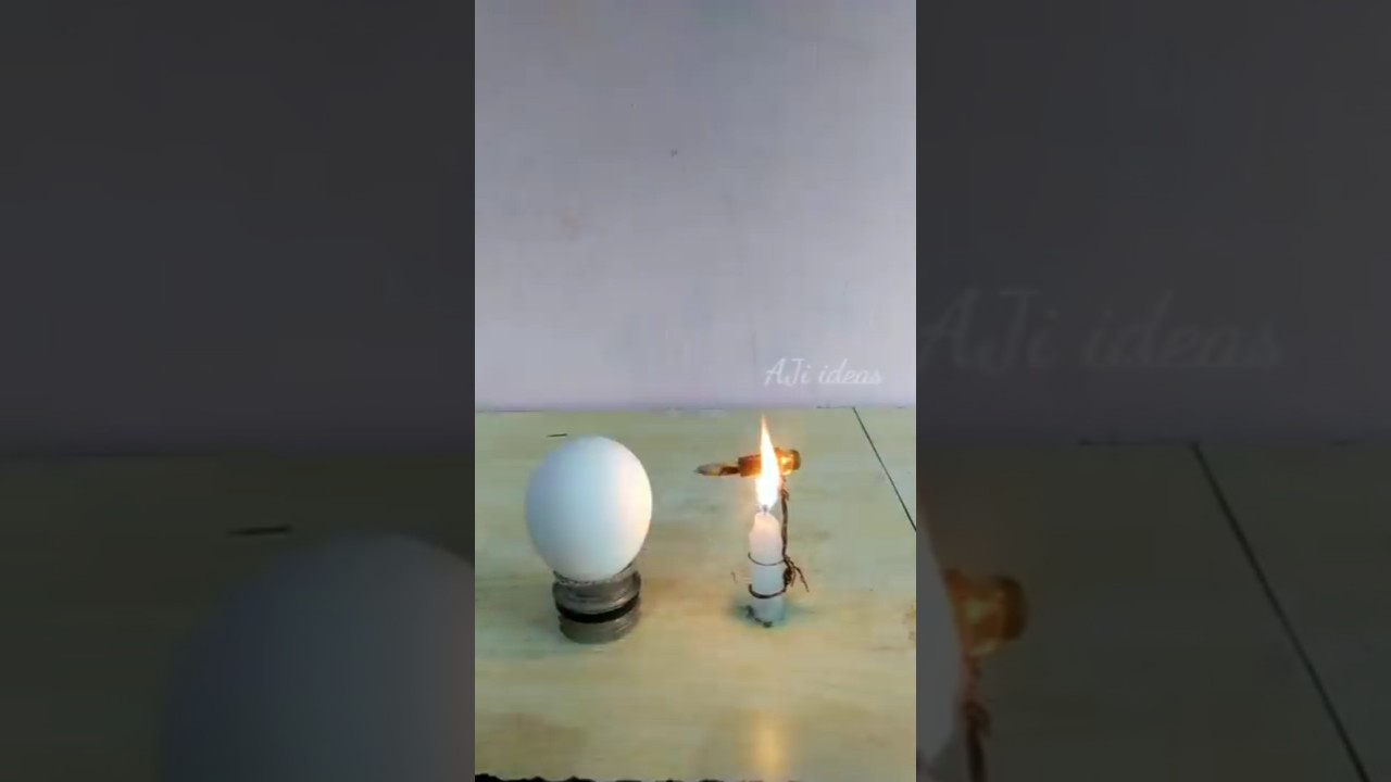Egg vs Bullet Experiment ⚠️😱🔥 || Mr.Adam bro || Exp 3
