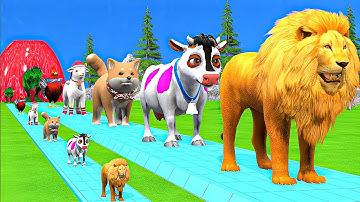 Paint Animals, Duck Cartoon, Gorilla, Lion, Elephant, Tiger, Crossing Fountain Animal Transformation