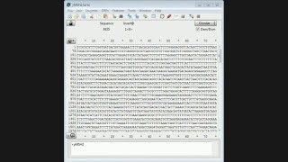 APE 2 Sequencing