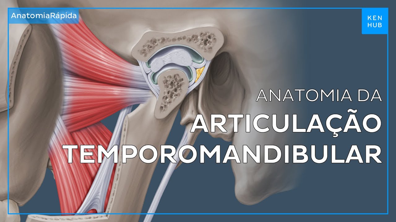 Articulação Temporomandibular: Função e Disfunção