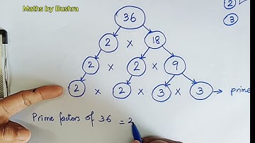 How to Draw Factor Tree of 36 / Factor Tree Method of Prime Factorization / Factors of 36