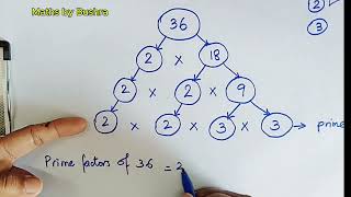 How to Draw Factor Tree of 36 / Factor Tree Method of Prime Factorization / Factors of 36
