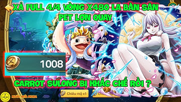 Huyền Thoại Hải Tặc - Xả Full 4/4 Vòng X480 La Bàn Săn Pet Lợn Quay, CARROT SULONG Bị Khắc Chế Rồi ?