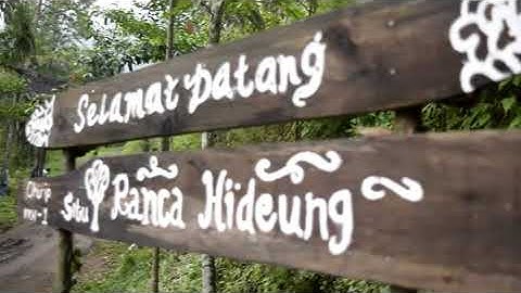 Duriat pegat cover irfan mahesa