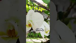 Doa Mohon Ketenangan Hati ¶ Doa Katolik