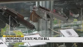 SC lawmakers move forward with bill that clarifies how state's 'unorganized militia' can arm themsel