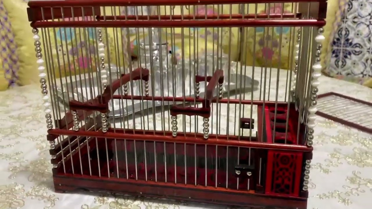 قفص وداني لطائر الحسون الأنيق💯او الهجين 💯😍
