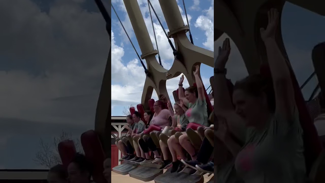 Mase and madden (not Miles, he’s too smart 😆) on the barn swings