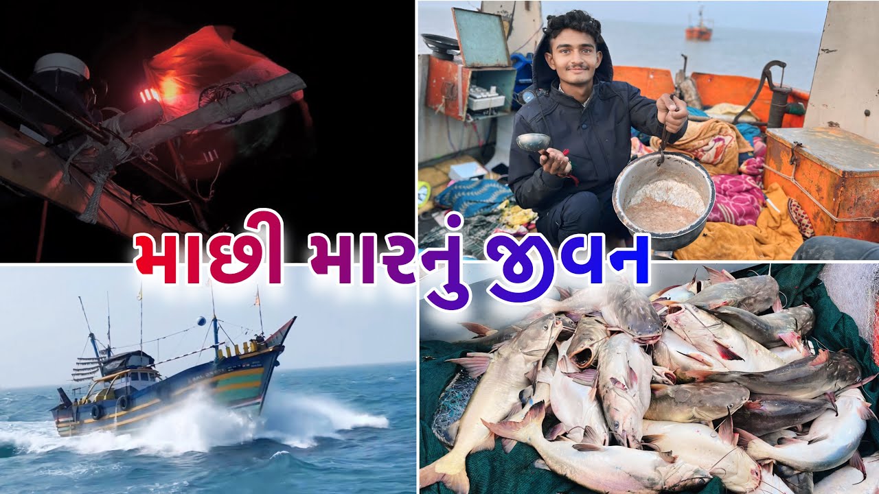 કાંટીયાં ખાંગી પકડી 🐡 # દરીયામાં બનાંવી સેવ ll માછી મારની વેદનાં # કેટલાં દિવસ ~ દરીયામાં 