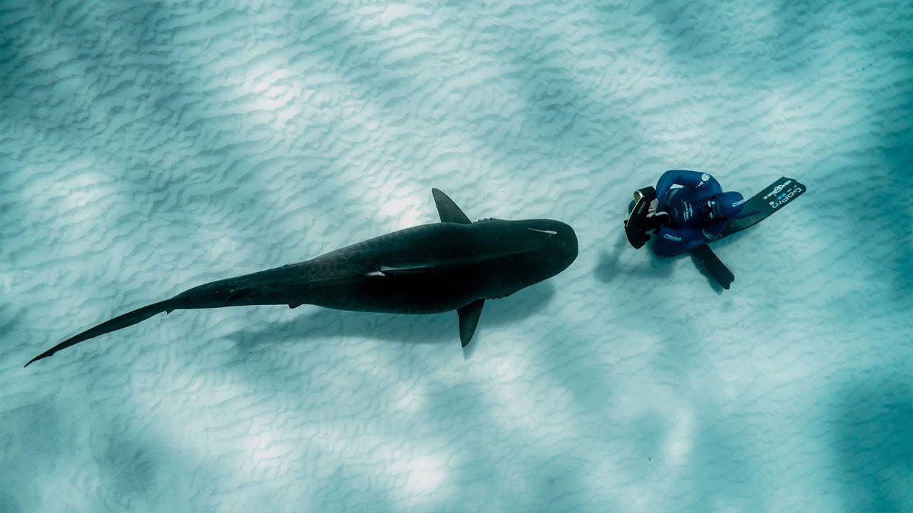 Biografia Roberto Ochoa