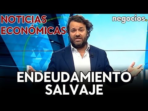 NOTICIAS ECON&Oacute;MICAS: Cr&eacute;dito bancario, endeudamiento salvaje y la econom&iacute;a en la sombra de Alemania