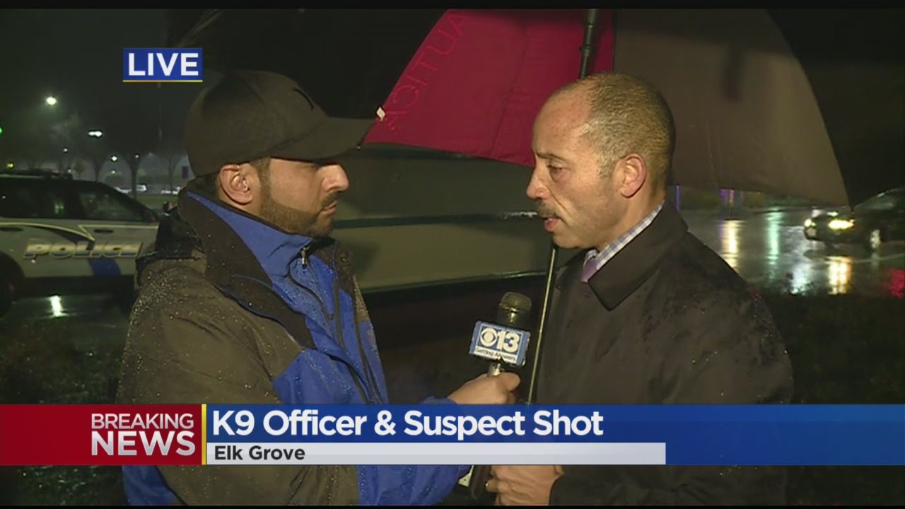 K9 Officer, 2 Armed Robbery Suspects Shot In Elk Grove - YouTube