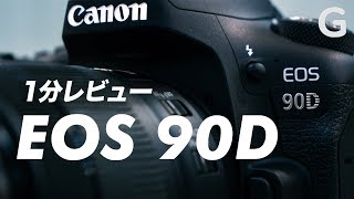 Trying out the Canon EOS 90D! Oh yeah, reflex cameras are fun. [1