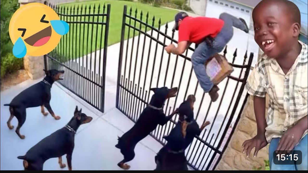 Try Not To Laugh Challenge 😂 ▶️ LEVEL 98 | Instant Regret Fails Compilation 2025