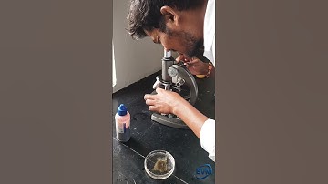 Microscopic View of Oedogonium | Algae Study #microscope #experiment #sciencefacts  #photography