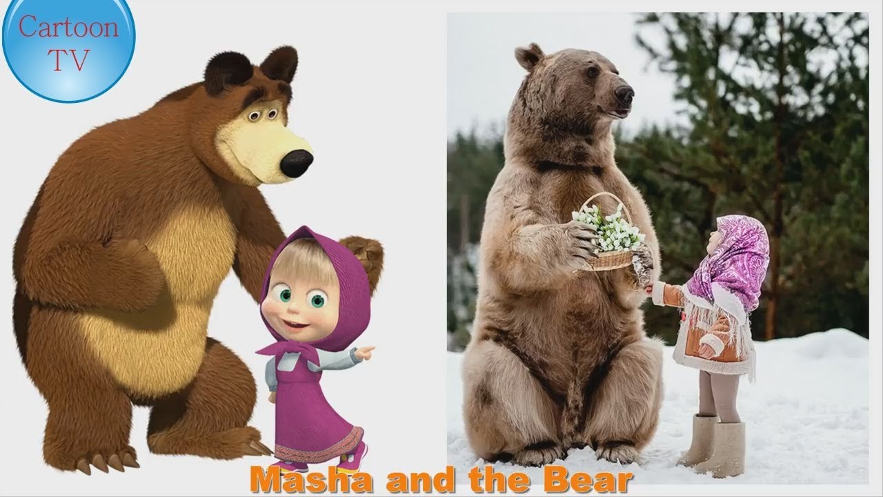 Почему маша и медведь вместе