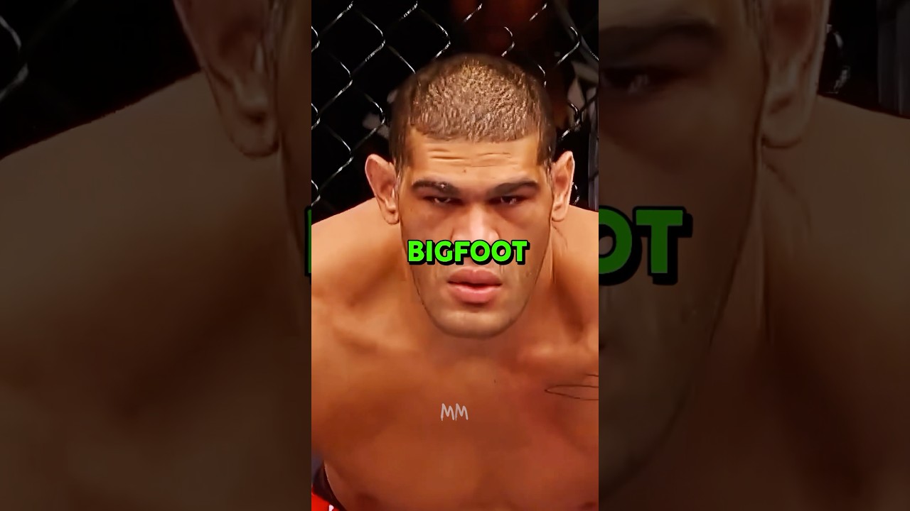 Why The UFC Needs MORE Weight Classes