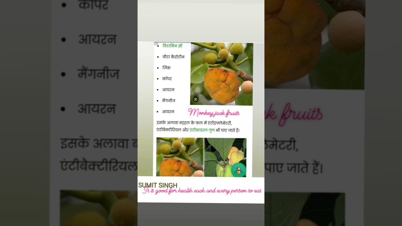 Monkey fruits good for health