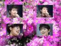 「花」石嶺聡子(カラオケ).Hana by Satoko Ishimine in Karaoke