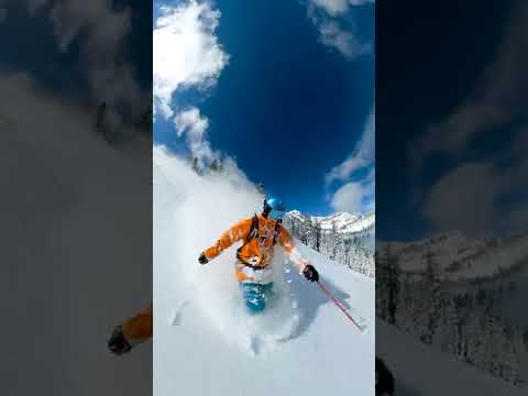 Bluebird powder day