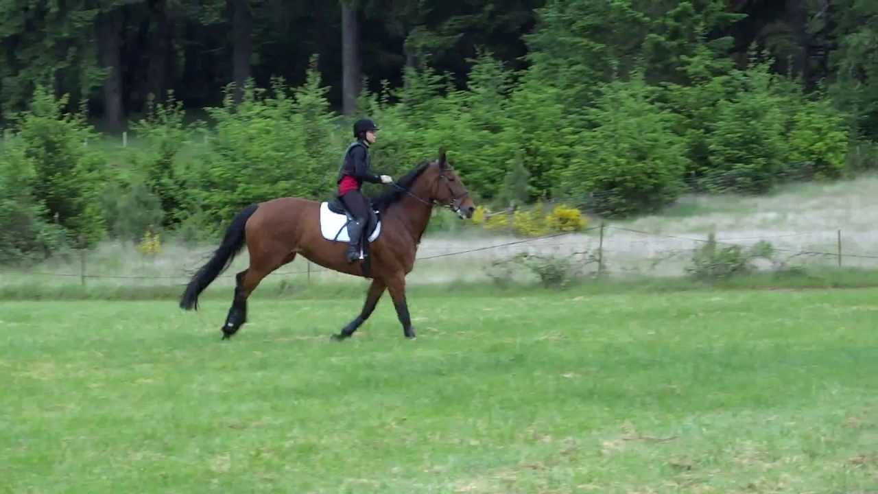 Opening the cross-country season 19 May 2013 at Inavale Farm (warmup over logs)