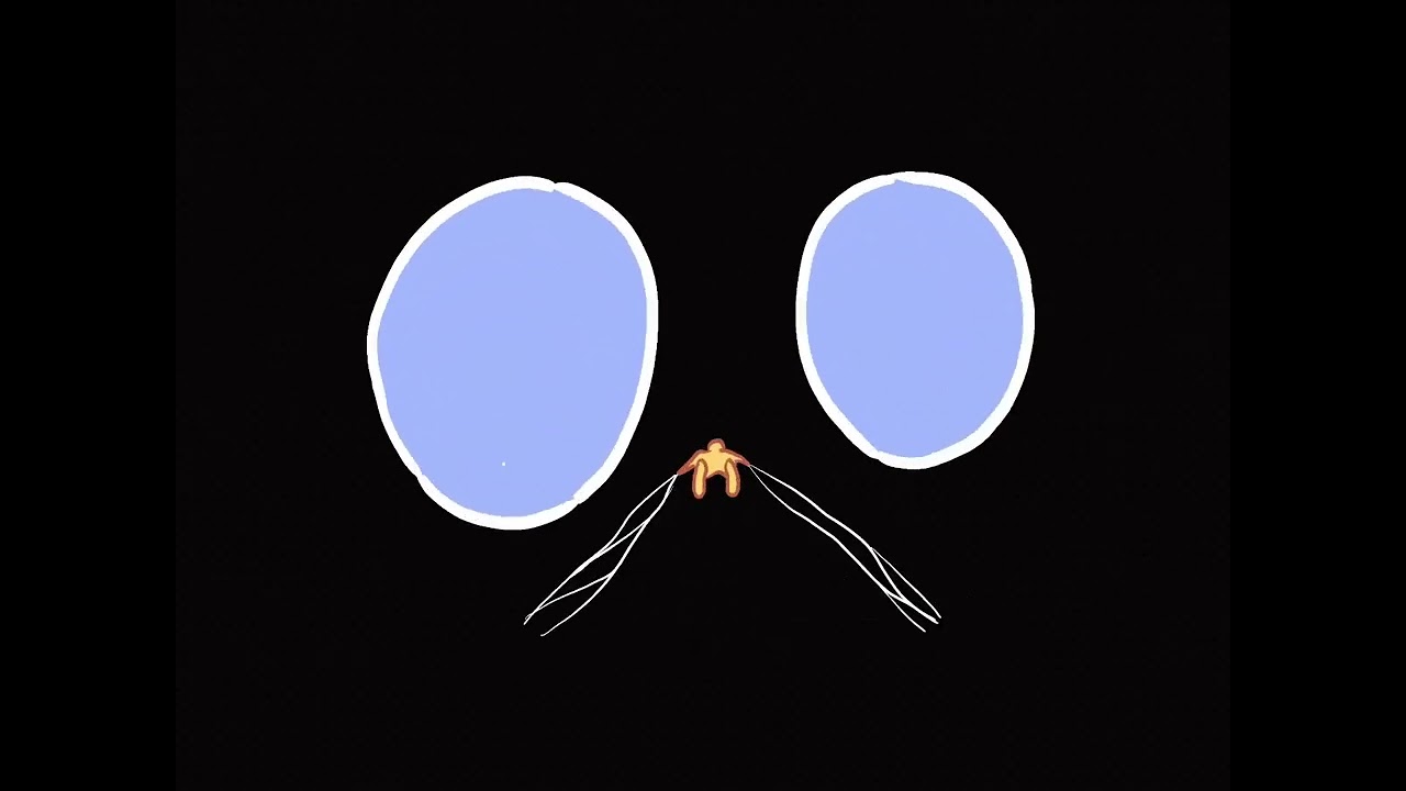 Welcome to  FLOWSTATEOFMIND 