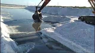 colheita de sal com escavadeira hidráulica,salina marisco Grossos RN