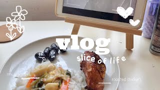 Slice Of Life🌷 : University Life, Accounting Student, Cooking, Cats, Homeworks