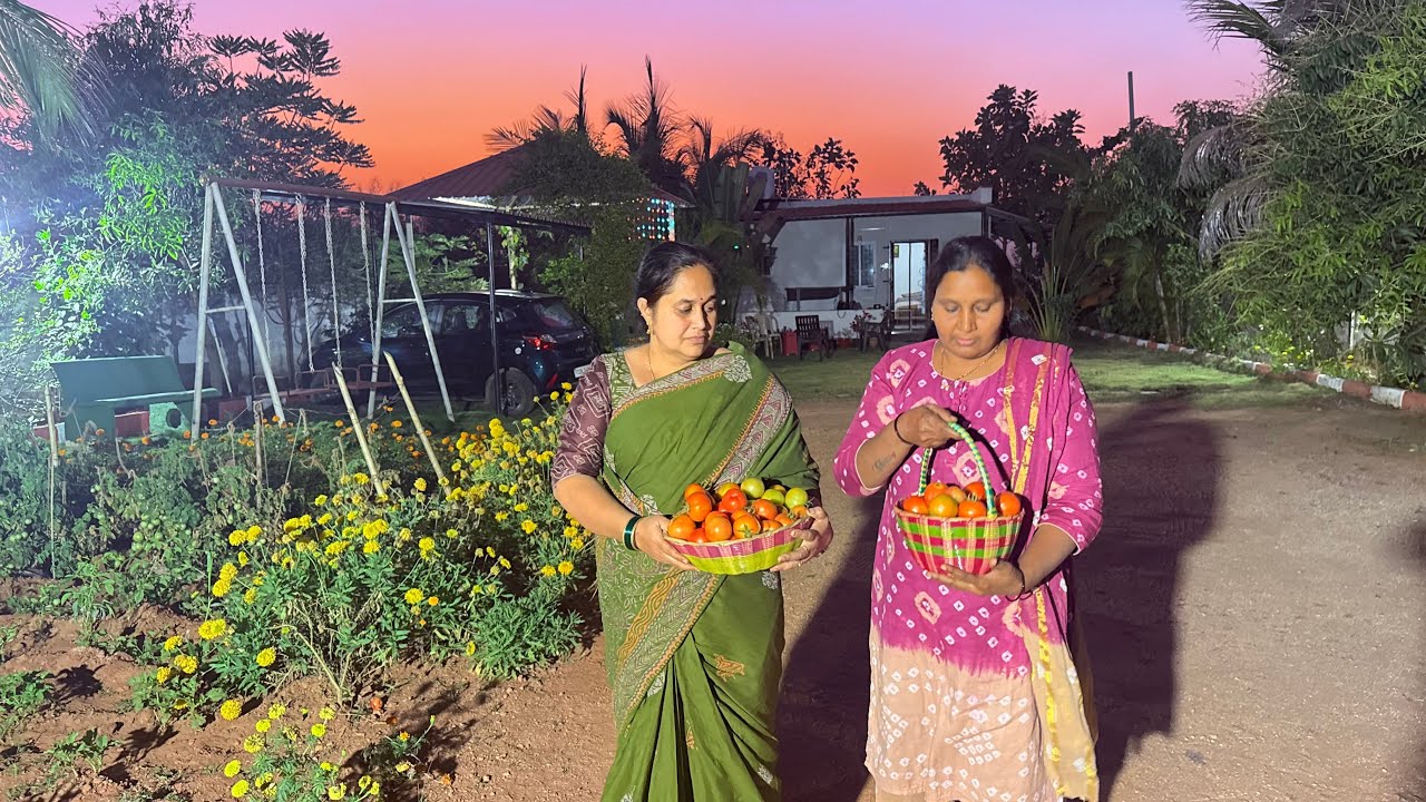 Land registeredat Farmland| | చేయకూడదు అని తెలిసికూడా హార్వెస్ట్ చేయాల్సివచ్చింది|