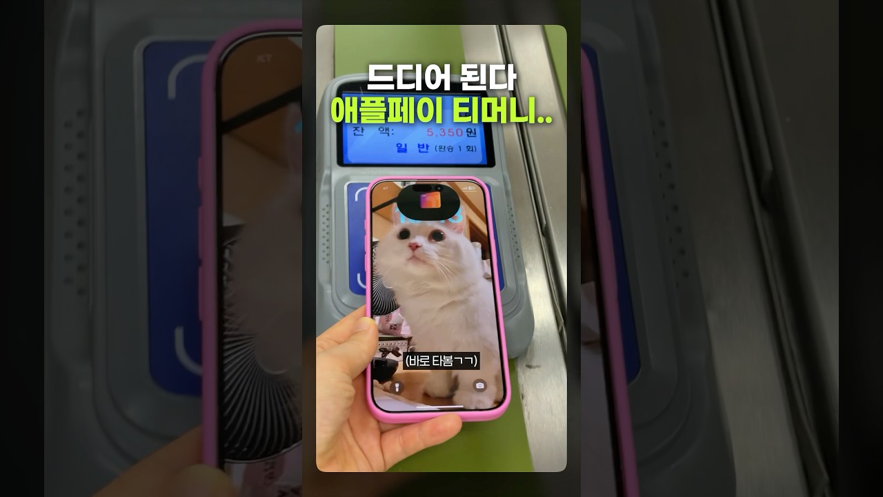 오늘부터 아이폰 찍고 출근함 ㄷㄷ