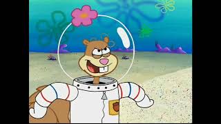 Hey, We Are Not Chicken