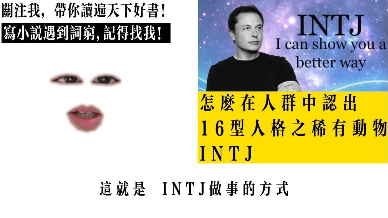 怎麼在人群中認出16型人格之稀有動物intj Youtube