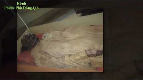 Bí ẩn x.á.c  ướp Xóm Cải (Quận 5).616
