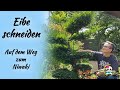Eibe schneiden / Niwaki Eibe ( Big Bonsai ) Formschnitt meiner Eibe / Part  3 - YouTube