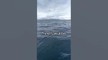 لحظات تخطف الأنفاس 