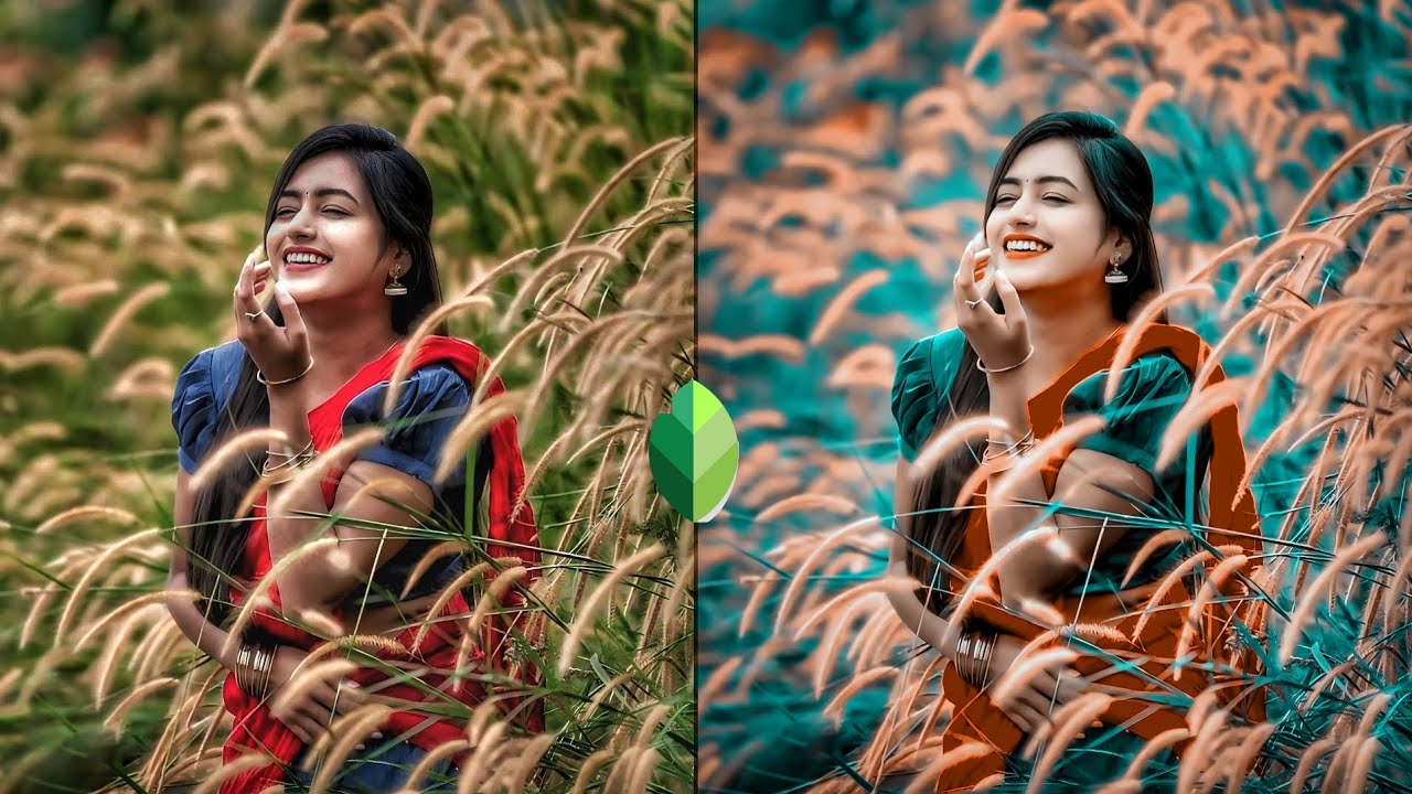 How to snapseed and lightroom photo editing online