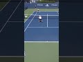 HOW did he get there?! 🫨