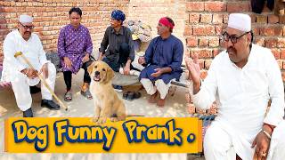 Download Lagu Tasleem Abbas and Soni New Comedy Show || Dog Funny Prank ||@TasleemAbbasOfficial MP3