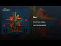 Common Kings Run mp3