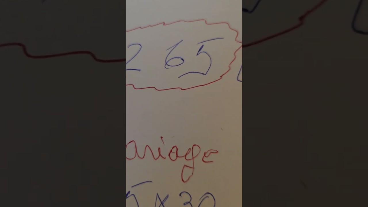 29 janvier 2025 tchouboulout boulcho dyaj sanpitye oagen defi poumw nan borlete nan nom grann st ane