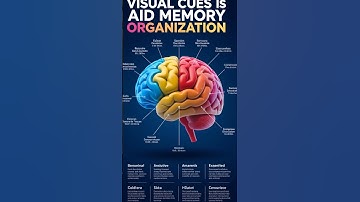 Transform Your Workspace: Simplify Document Management with Color-Coding for a Stress-Free Life!