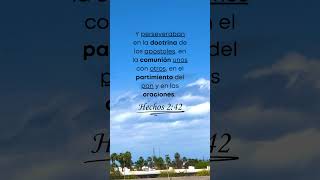 Somos La Iglesia De Dios, Unidos Como El Cuerpo De Cristo #iglesia #amor #unidad #paz #Dios #cuerpo