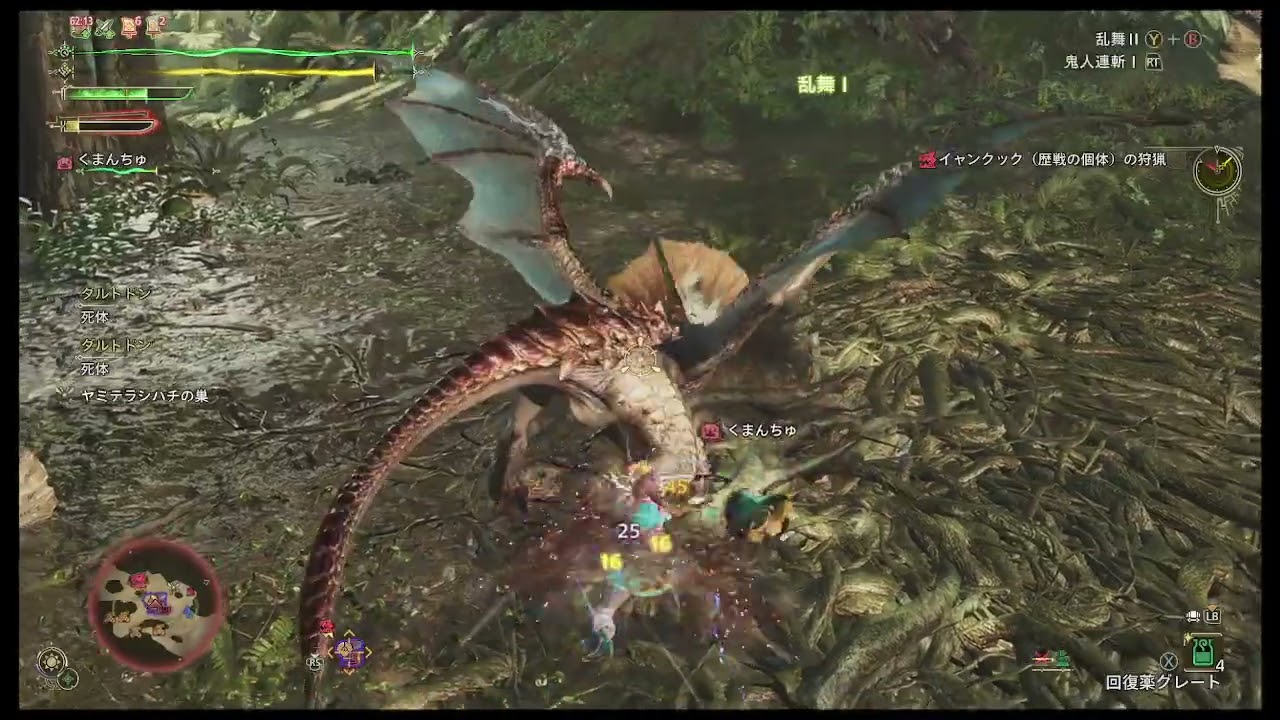 先生お手をお借りします【イャンクック☆９個体初見】