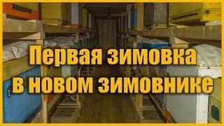 Первая зимовка в новом зимовнике