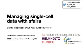 SCOG Workshop "Sfaira", 2022 - Day 2 (Introduction CLI)